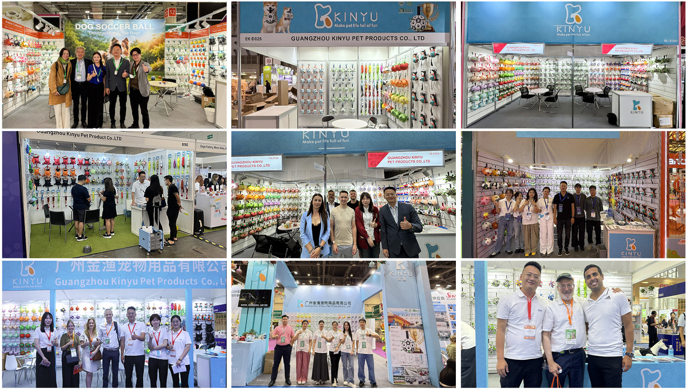 Our exhibition