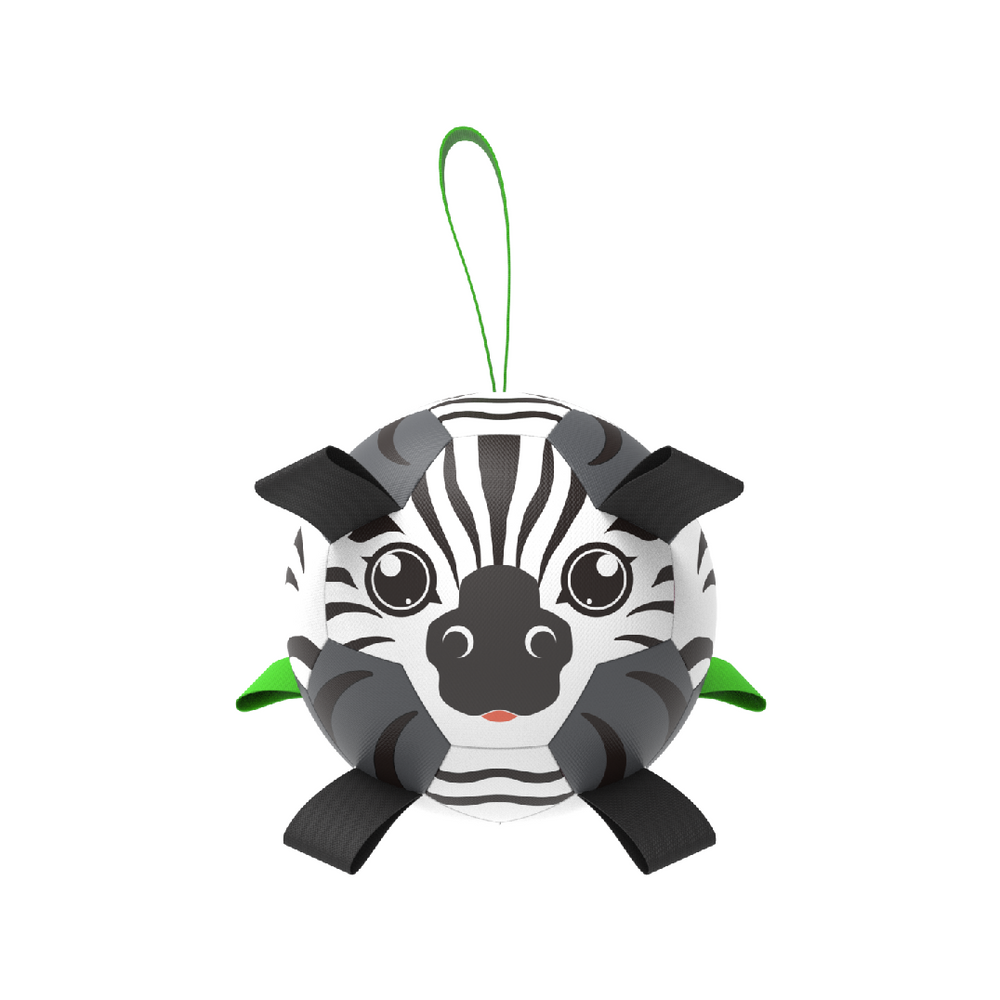 zebra Type 2