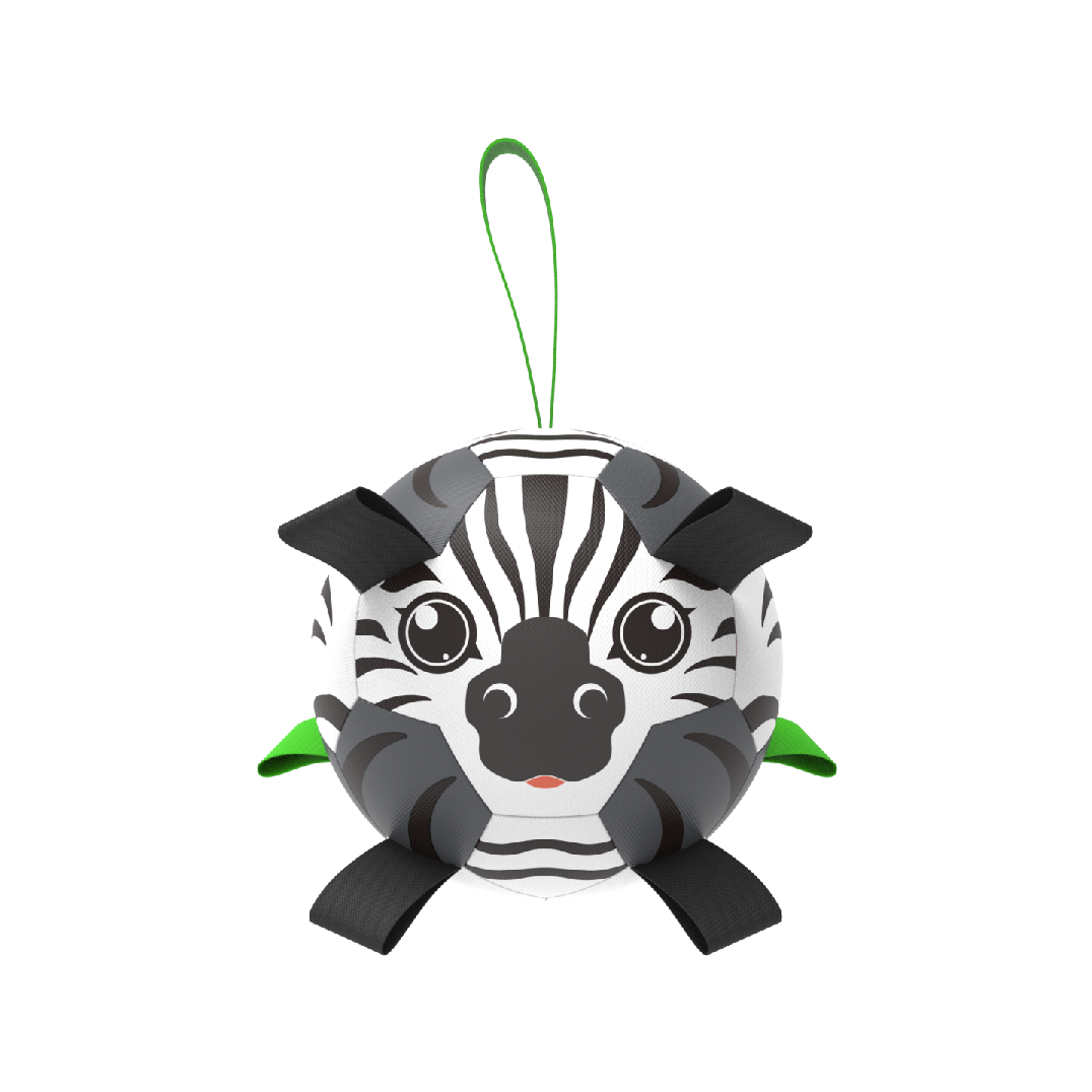 zebra Type 2
