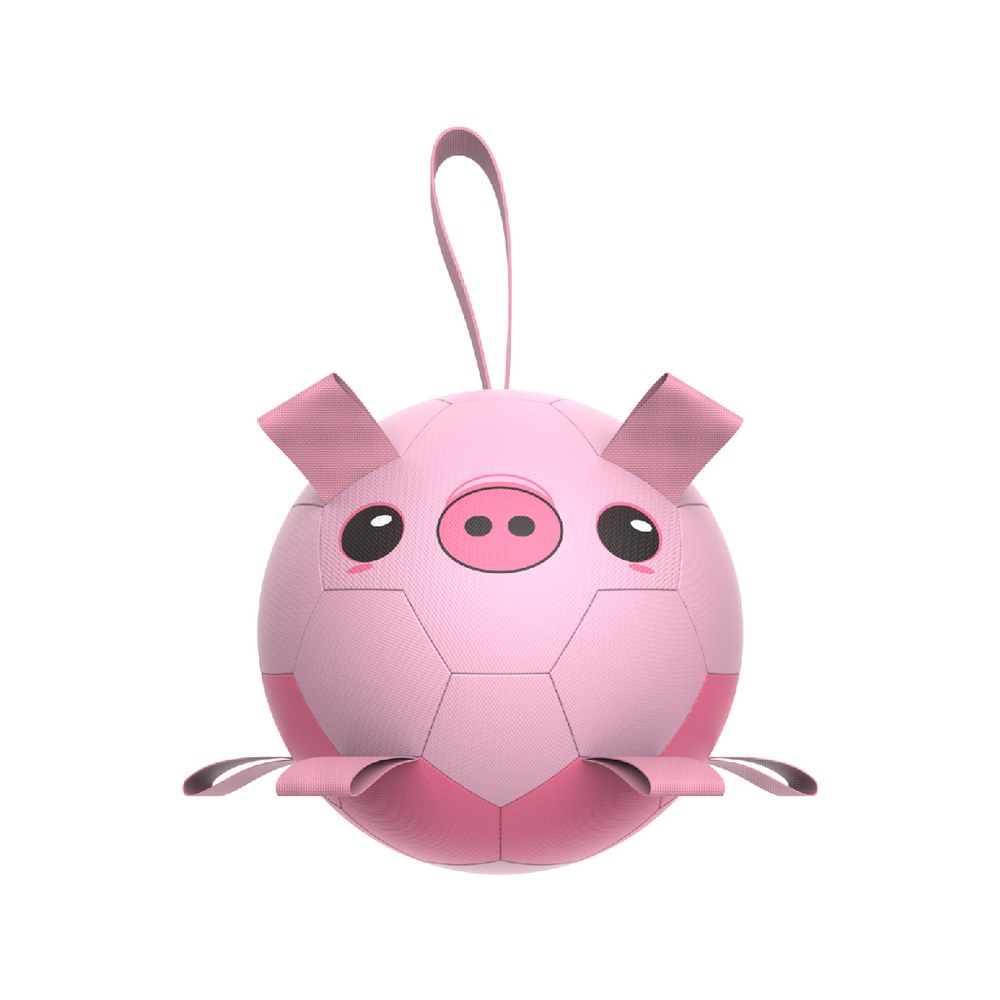 piggy