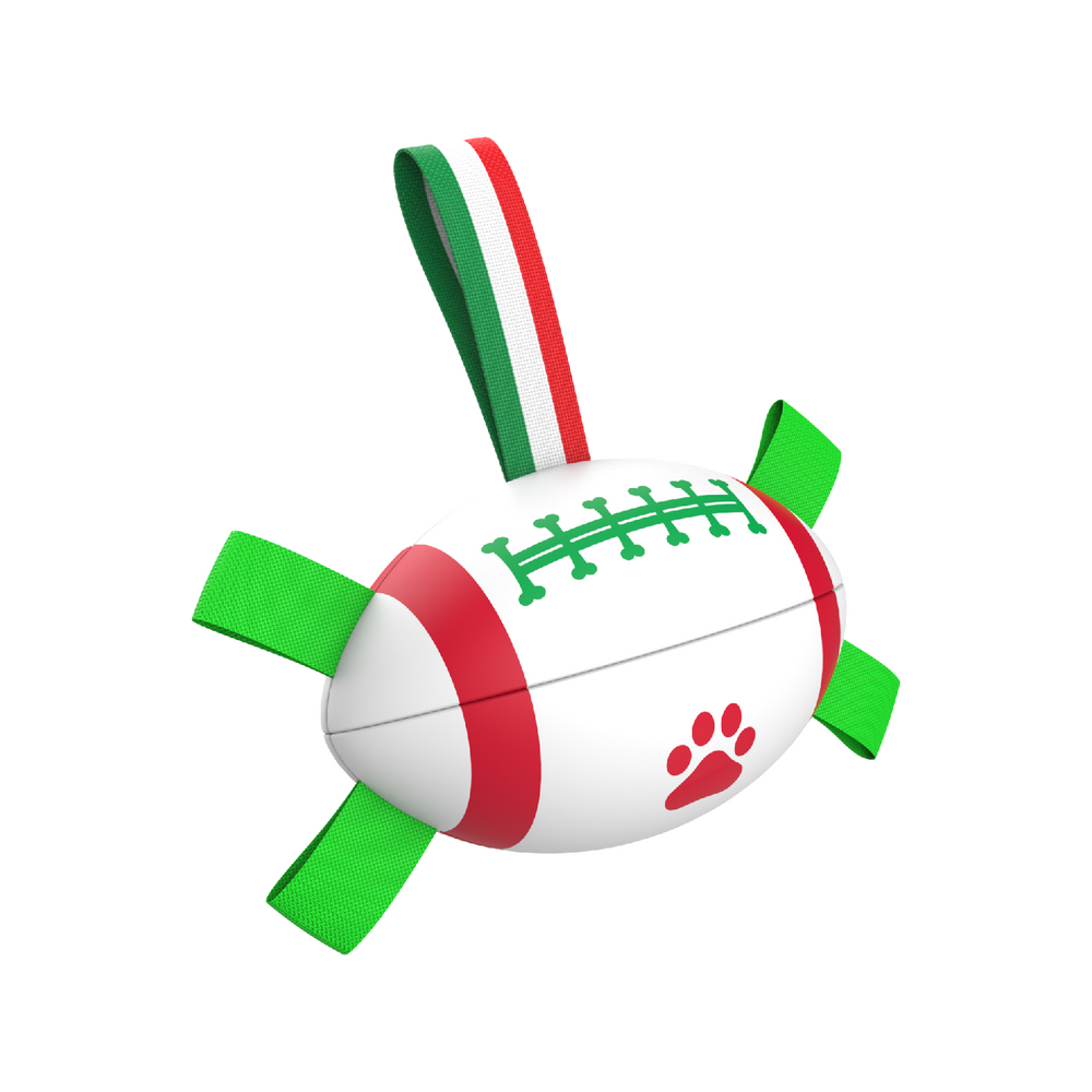 Italian flag element design