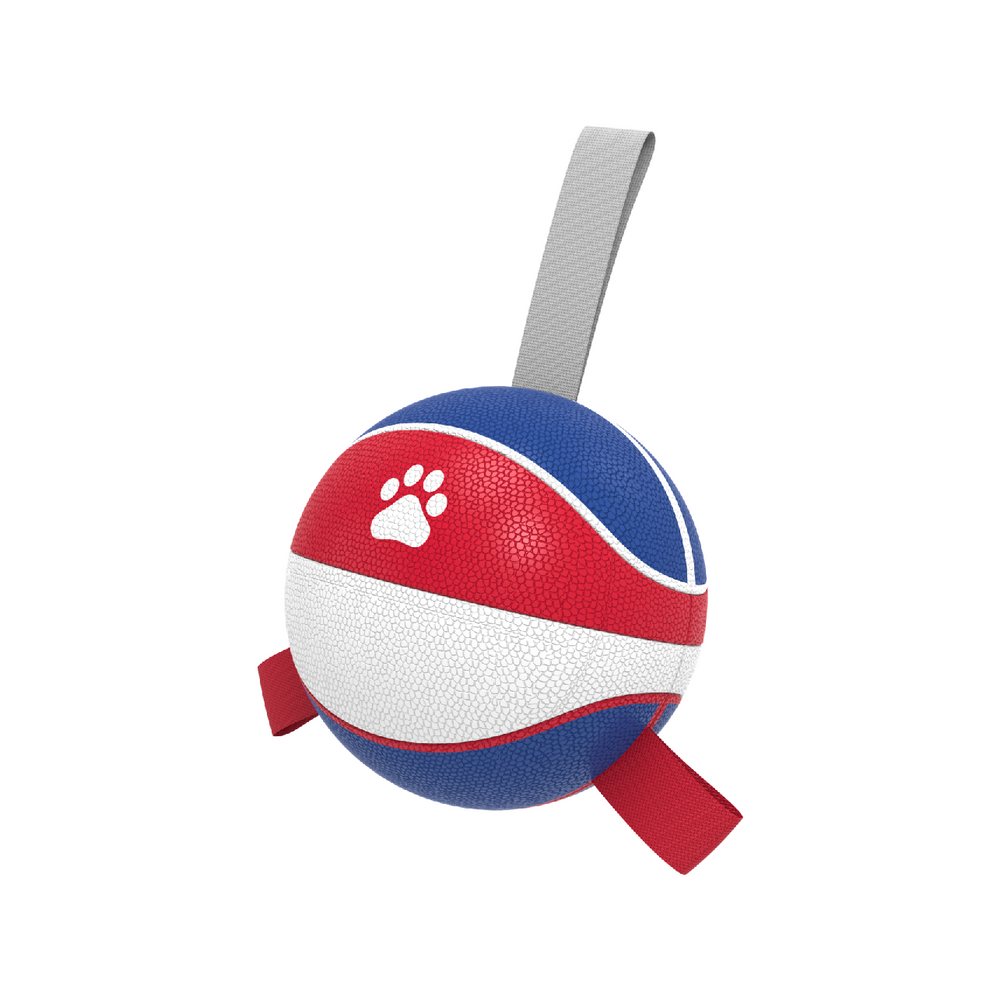 Dutch flag element design