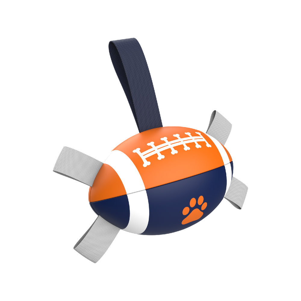 Dutch team version