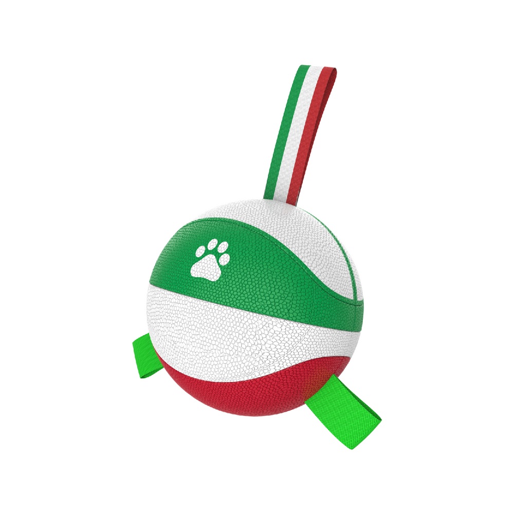 Italian flag element design