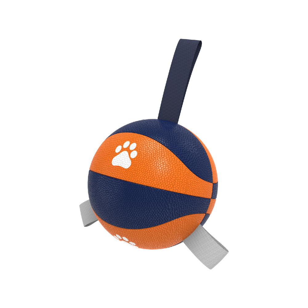 Dutch team version