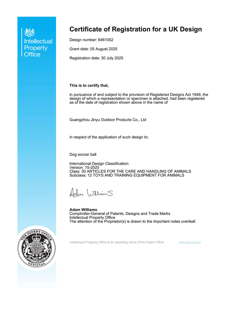 Certificate 6