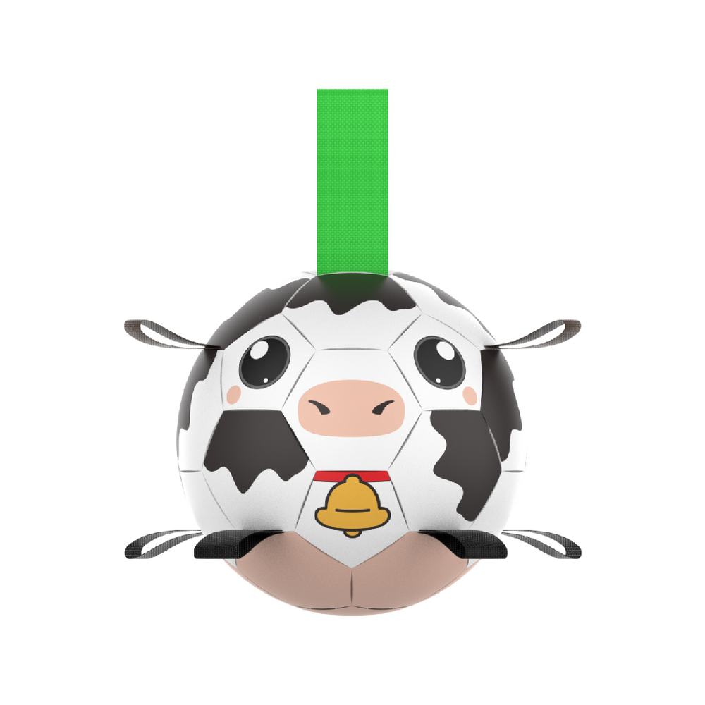 dairy cow