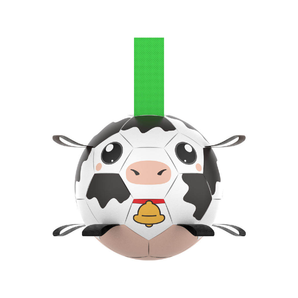 dairy cow