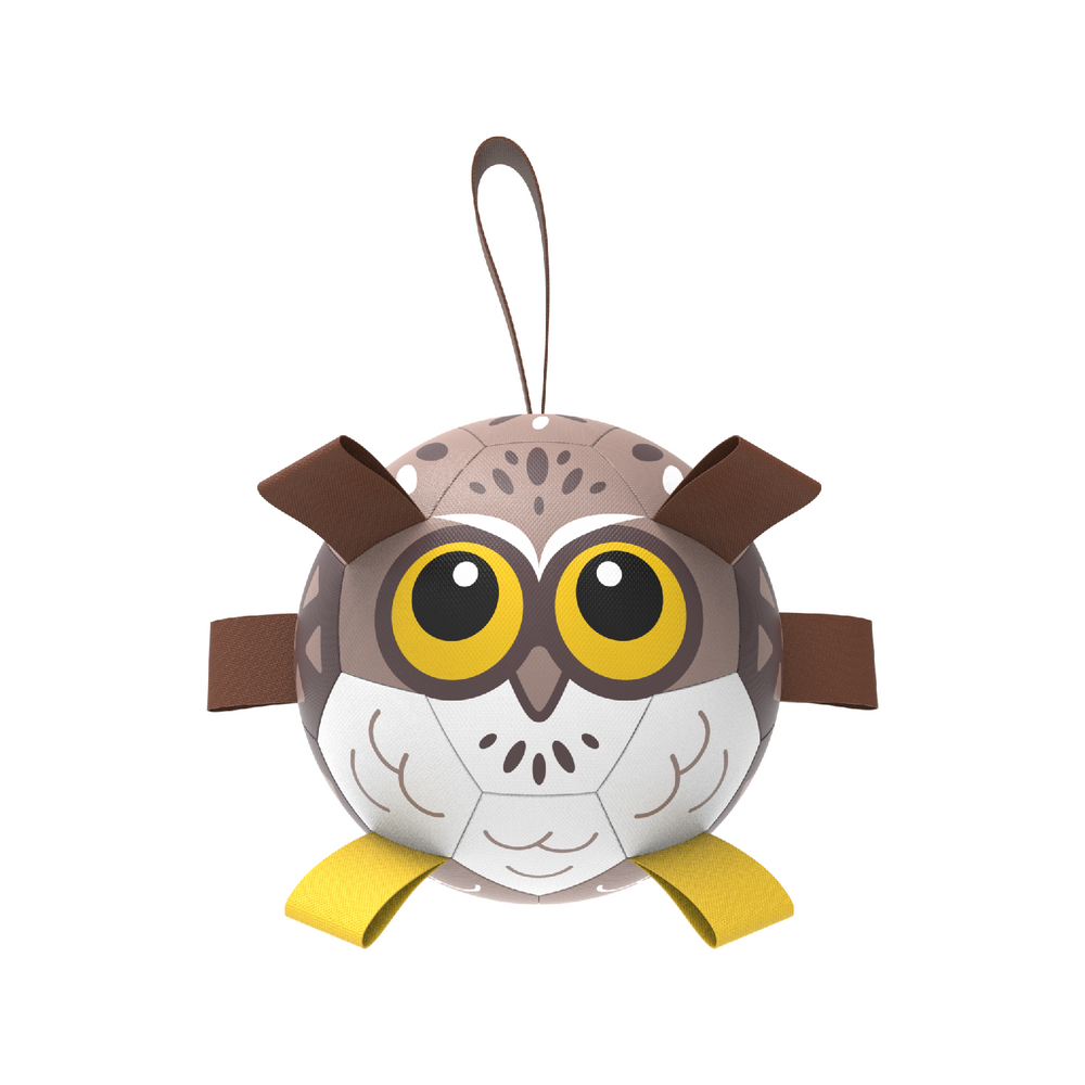 owl