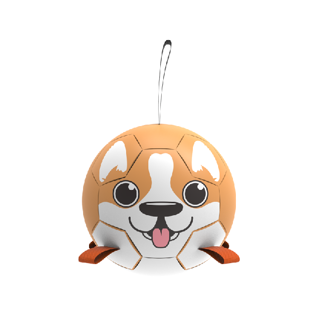 Shiba Inu