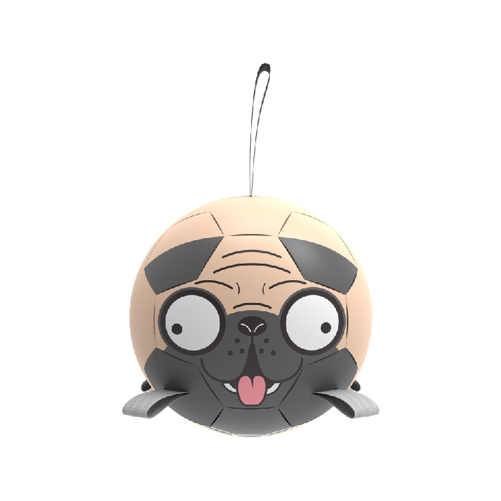 Pug